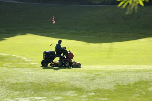 A golf course worker mows the grass of a green, in the early morning.