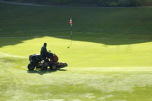 A golf course worker mows the grass of a green, in the early morning.