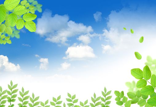 Green leaves on nice blue sky background