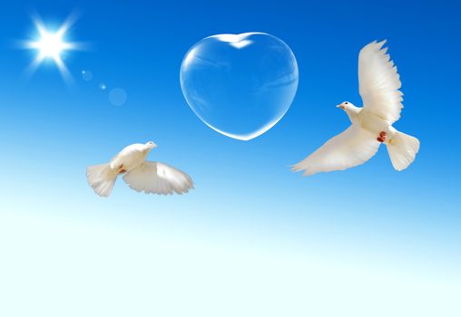 Two doves which are in love and fluying in the sky