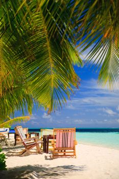 Relaxing on tropical paradise with white sand at Maldives and green palms with blue sky