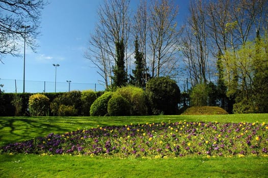 spring penarth park in wales, horizontally framed shot