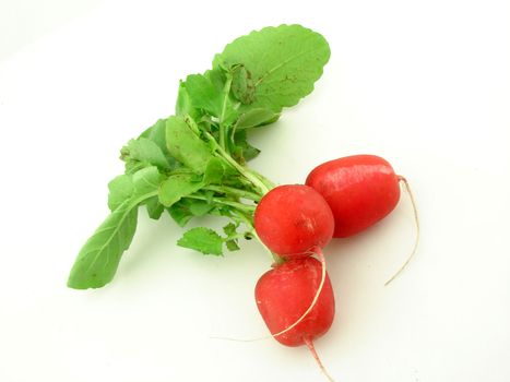 Radish isolated ovwr white, homegrown vegetables, concept of healthy food.