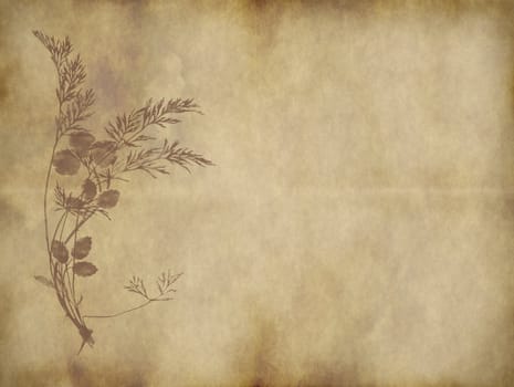 large old paper or parchment background texture