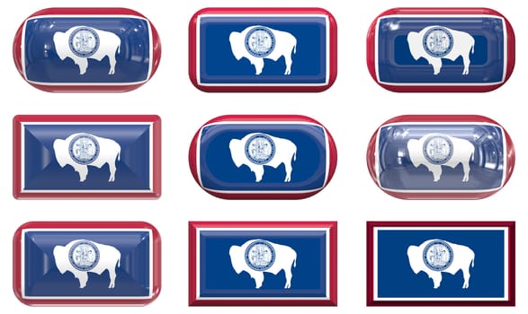 nine glass buttons of the  Flag of Wyoming