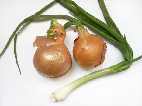 This is a photograph of some fresh and sweet vegetables:  onions.