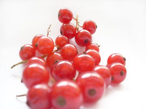 This is a photograph of some fresh and sweet berries of red currant