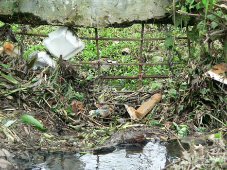  Small creek contaminated with garbage