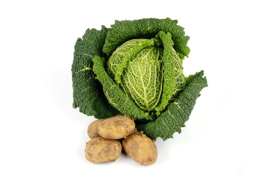 Single green cabbage with a small pile of brown unpeeled potatoes on a reflective white background