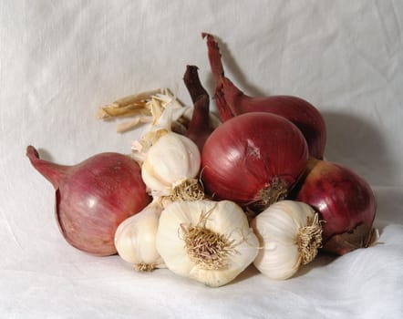              Garlic and onions on a white linen cloth                  