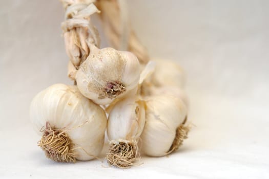 Some garlic  on a white linen cloth