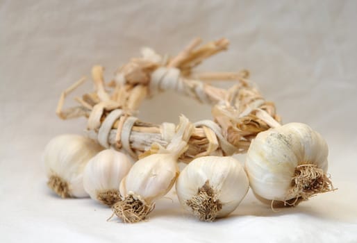 Bunch of garlic on a white linen cloth