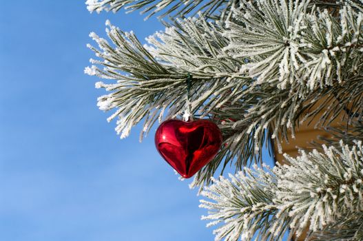 Pine branch with a New Year's ornament against the blue sky.