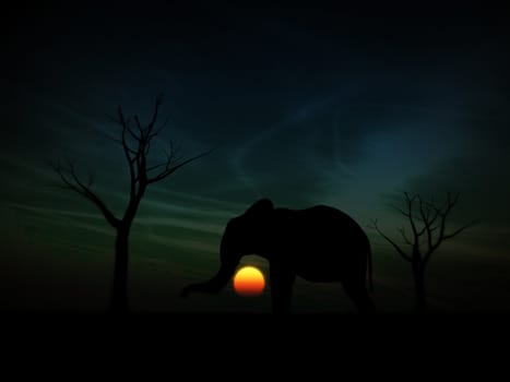 An image of an elephant silhouette with a African sky background.