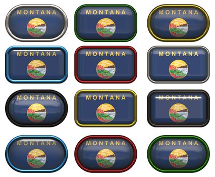 twelve Great buttons of the Flag of Montana