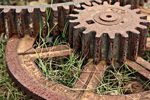 old cogs and gears lay rusting in the grass