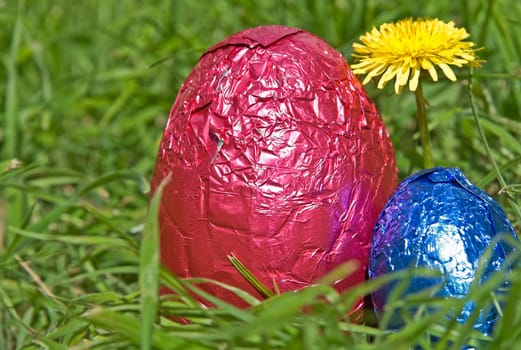 easter eggs in the grass with a flower
