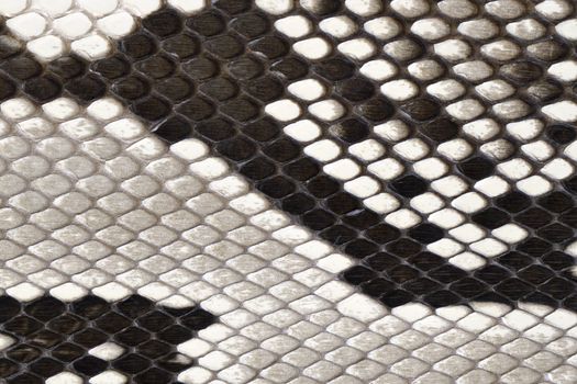 high-resolution snake skin leather material, fashion accessory background