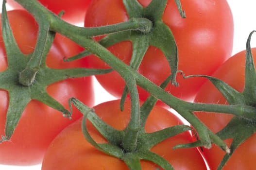 great image of some fresh and juicy tomatoes