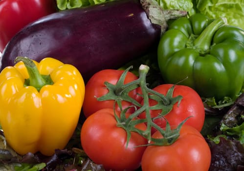 great image of fresh mixed vegetables from the garden
