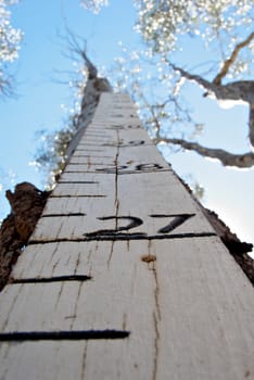looking up at the flood height marker to the blue sky