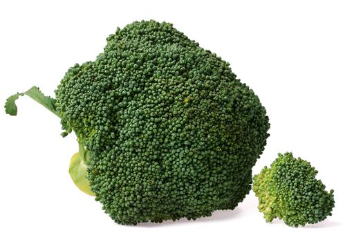 Two green slices of a broccoli on a white background.