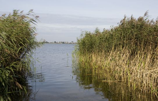 Gateway to the lake. Lithuania landscape