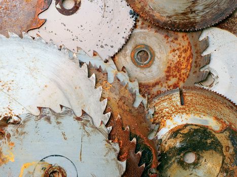 A pile of rusty circular sawblades.
