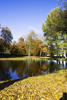 Fall colors in Paezeriai park. Lithuania