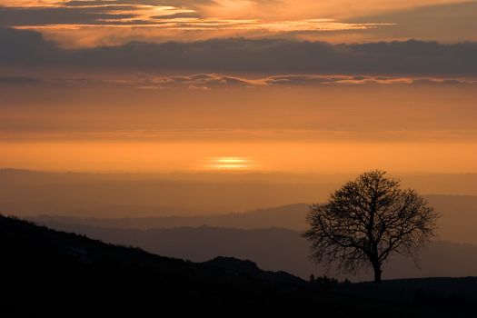 View over layered mountains on a beautiful Sunset with lonely tree on the horizon. 