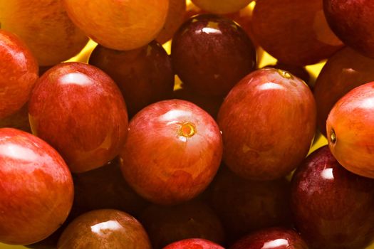 Wet grapes on bowl close-up