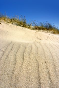 Sand texture at the beach