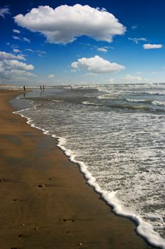 Foam wave at the beach, with deep blue sky and fluffy clouds