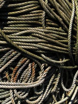 Fishermen's ropes laid out at the quayside; some look fairly new and clean, others look weathered and slimy and exposed to the elements
