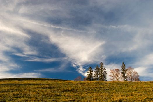 Yellow field and blue cloudy sky