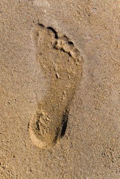 trace of the leg on song.Footprint.imprint of the barefoot leg