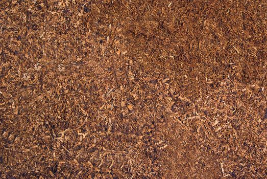 Loose cuts of dried tobacco form golden background texture
