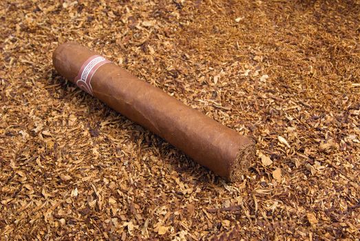 one cuban cigar ,handmade freshly rolled cigars,disposit of the tobacco