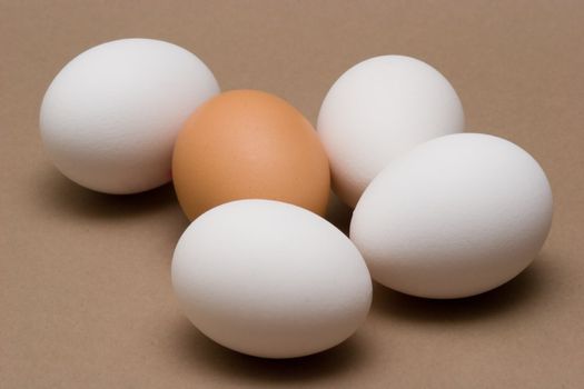 White and Brown Eggs 