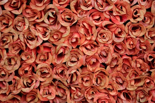 Many red dried roses grouped together