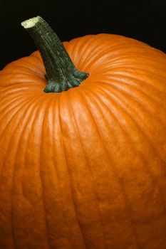 Closeup image of a pumpkin against a black background.
