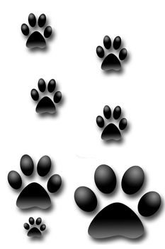 Dog footprints illustration