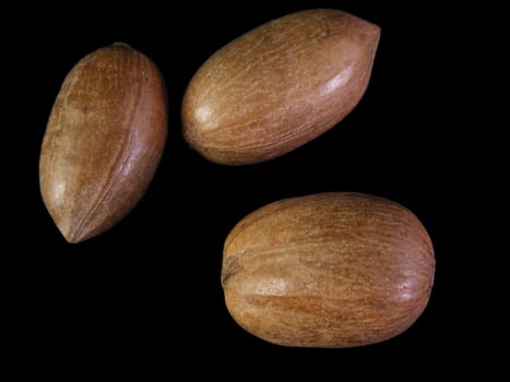 Three unshelled pecans against a black background.