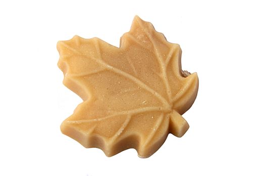 Maple Sugar in Shape of Maple Leaf