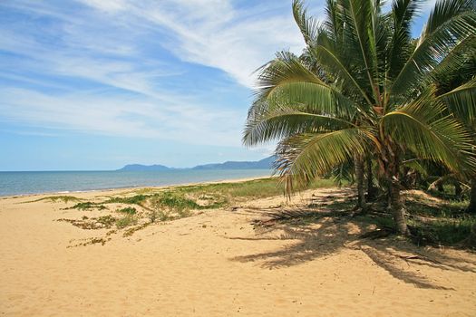 Yorkeys Knob Beach in Far North Queensland