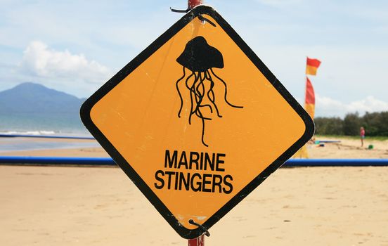 Marine Stingers Sign at Yorkeys Knob Beach