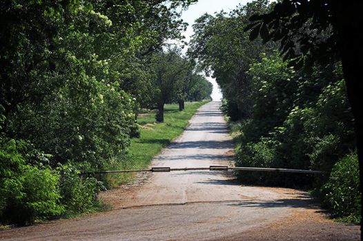 Picture of road in countryside