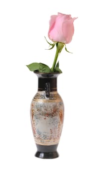 pink rose in the vase isolated on white background