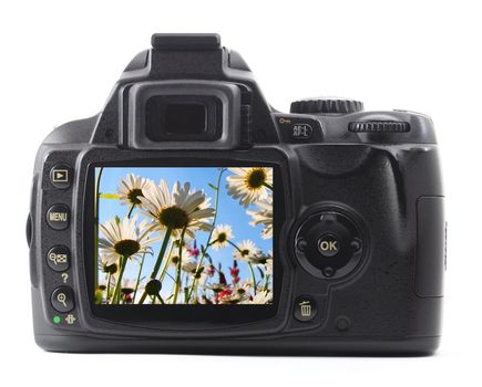 dslr with summer flower isolated on white background