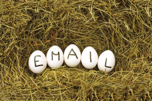 mail or email internet concept with eggs on hey or strew